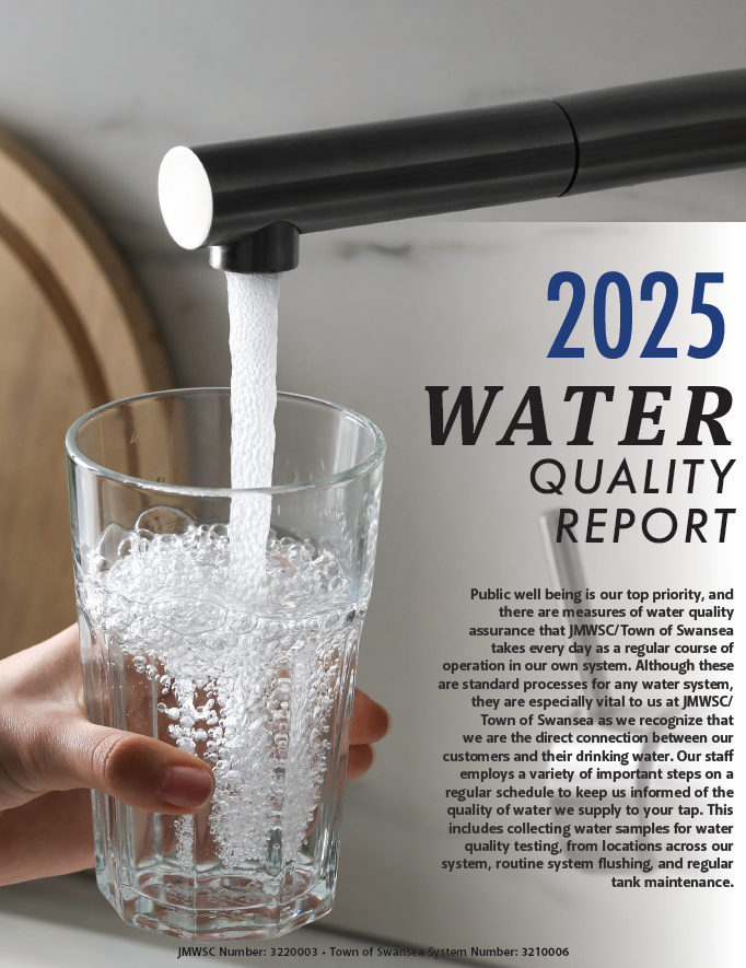 Swansea Water Quality Report 2025